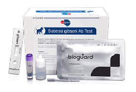 Canine Babesia gibsoni Ab Test - 5 Kits