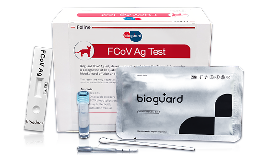 FCoV Ag Test - 10 Kits