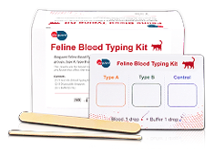 Feline Blood Typing Kit - 5 Kits